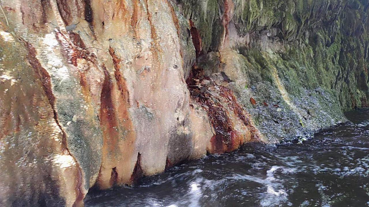 Апартаменты 森之秘湯 Mhuwe Hotspring Ренай Экстерьер фото